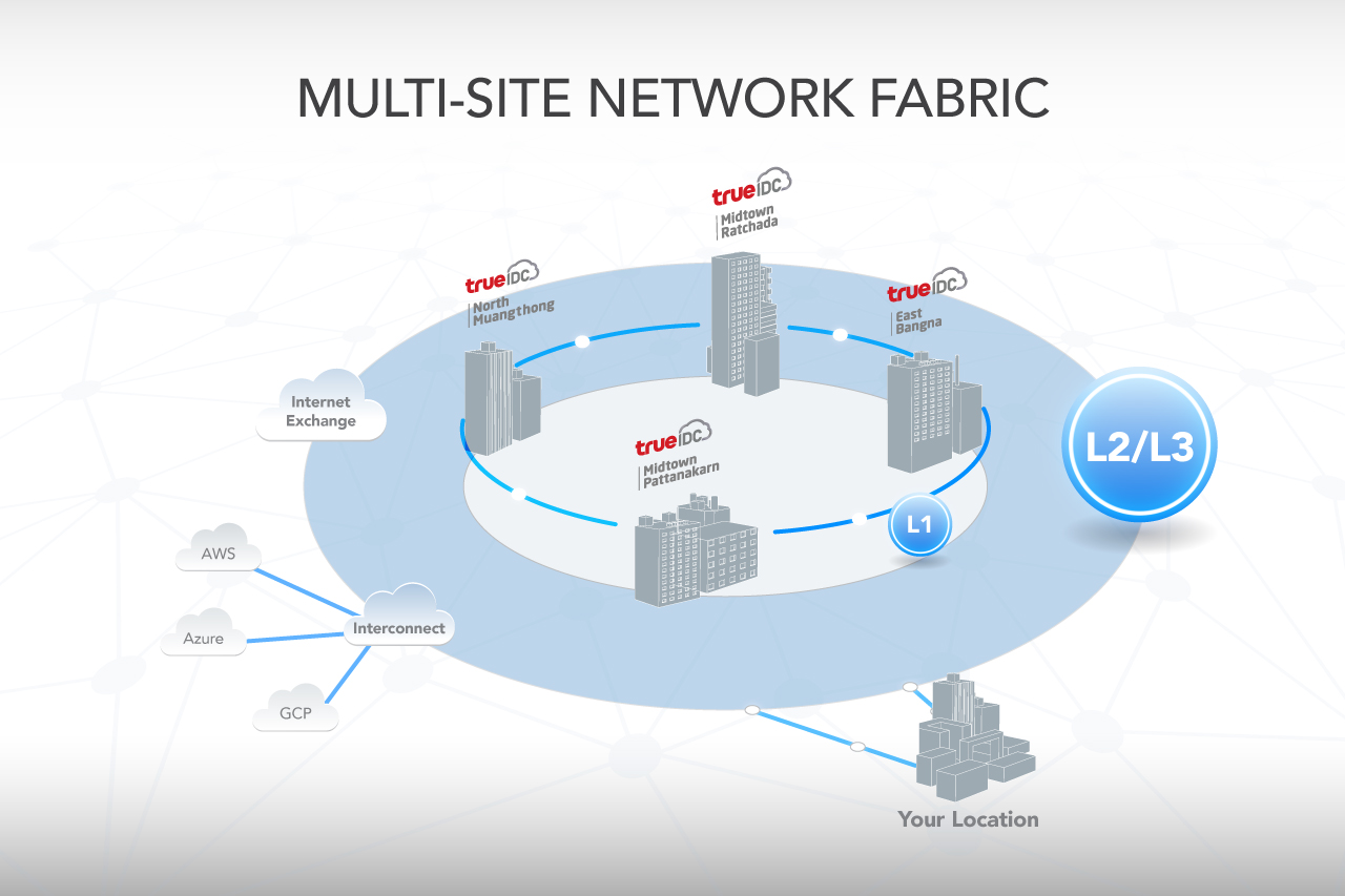 True IDC Multisite Network Fabric